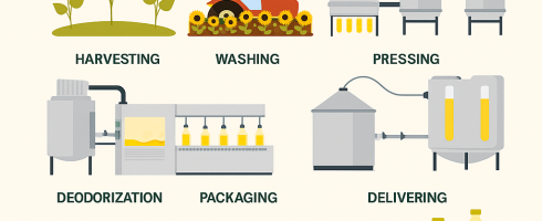 โปสเตอร์ความรู้: นามันพืชกับกระบวนการผลิต (Seed Oils Processing)